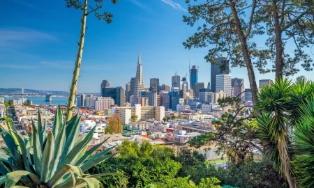 A scenic view of the San Francisco skyline and bay framed by green foliage on a clear, sunny day.